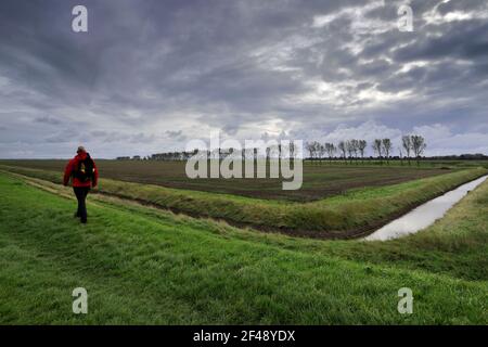 Walker at the Sir Peter Scott Lighthouse, known as the East Lighthouse, River Nene, Sutton Bridge village, South Holland district, Lincolnshire, Engla Stock Photo