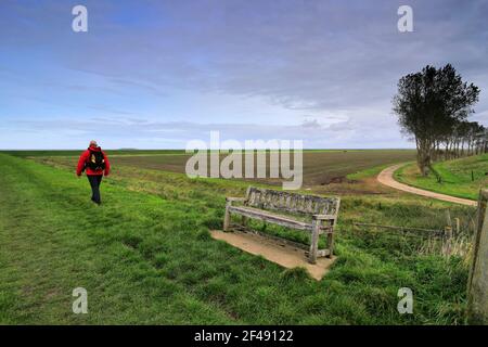 Walker at the Sir Peter Scott Lighthouse, known as the East Lighthouse, River Nene, Sutton Bridge village, South Holland district, Lincolnshire, Engla Stock Photo