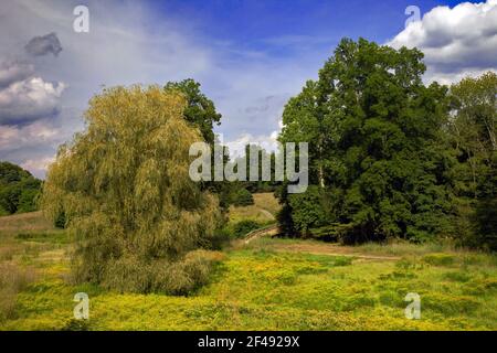 A pathway through a wild meadow of native wildflowers and grasses on a former golf couse at Cherry Valley National Wildlife Refuge in Pennsylvania Stock Photo