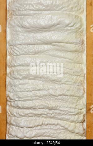 Texture and background of a wall made of construction foam between two wooden beams. Stock Photo