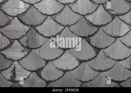 The roof is made of gray slate slabs in the shape of fish scales. Background and texture, close-up. Stock Photo