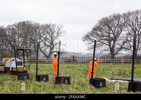 Great Missenden, UK. 18th March, 2021. HS2 contractors monitor works to fell a row of hundred-year-old oak trees in Leather Lane. Almost 40,000 people have recently signed a petition calling for the oak trees lining the ancient country lane not to be felled to make way for a temporary haul road and construction compound and local residents and conservationists have accused HS2 contractors of destroying active bird boxes on the site. Credit: Mark Kerrison/Alamy Live News
