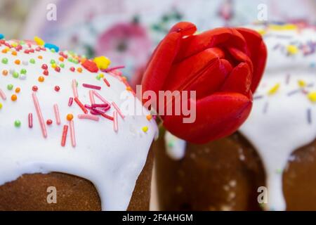 Easter spring holidays sweet bread, paska close-up composition decorated with sugar icing and red tulip on blurred background. Orthodox handmade kulic Stock Photo