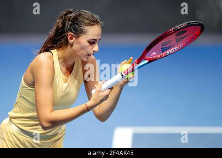 Gey ogziga pisish video