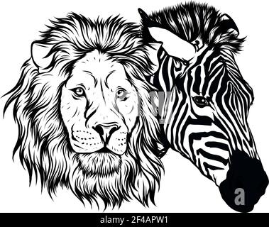 draw in black and white of zabra and lion head vector illustration design Stock Vector