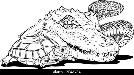 draw in black and white of reptiles and amphibians. Wild Crocodile, snake, turtle and frog Stock Vector