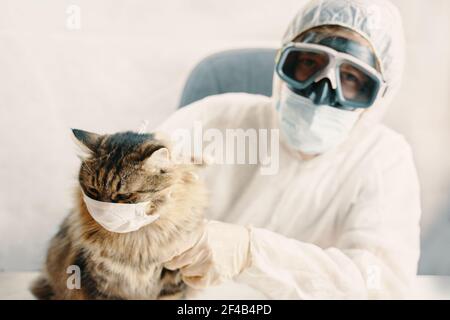 Man in bio-hazard suit and Kitten wear face shield. Cat in protection mask.  Stock Photo