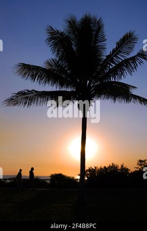 SILHOUETTE OF PEOPLE WALKING ALONG CABLE BEACH AS THE SUNSETS BEHIND A PALM TREE IN BROOME IN WESTERN AUSTRALIA. Stock Photo