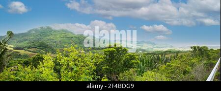 panorama of green field and blue cloudy sky.