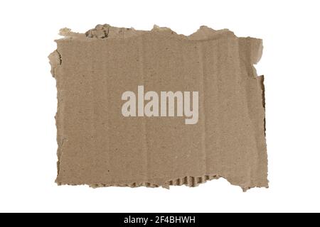 Ripped piece of cardboard isolated on white background. Cardboard with torn edges, top view. Stock Photo