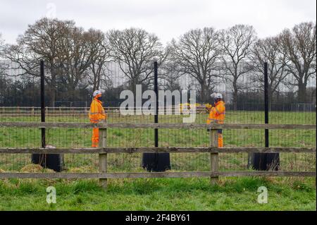Great Missenden, Buckinghamshire, UK. 18th March, 2021. HS2 have destroyed three oak trees in Leather Lane with more to follow for a temporary haul road despite that there are bat holes in the trees and it is the bird nesting season. HS2 Security and NET bailiffs are in the fields next to the oaks 24/7 and intimindating local residents. The High Speed 2 rail link from London to Birmingham is carving a huge scar across the Chilterns which is an AONB. Just under 40,000 people have signed a petition to Save Leather Lane Oaks from HS2. Credit: Maureen McLean/Alamy