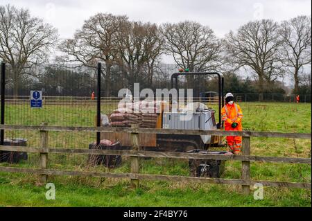 Great Missenden, Buckinghamshire, UK. 18th March, 2021. HS2 have destroyed three oak trees in Leather Lane with more to follow for a temporary haul road despite that there are bat holes in the trees and it is the bird nesting season. HS2 Security and NET bailiffs are in the fields next to the oaks 24/7 and intimindating local residents. The High Speed 2 rail link from London to Birmingham is carving a huge scar across the Chilterns which is an AONB. Just under 40,000 people have signed a petition to Save Leather Lane Oaks from HS2. Credit: Maureen McLean/Alamy