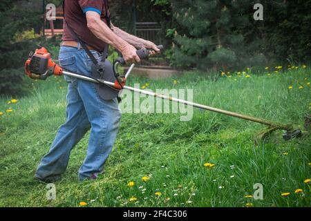 Gardener mowing grass by brushcutter in garden. Man is gardening at springtime. Stock Photo