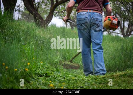 Man mowing grass by brushcutter in garden at springtime. Farmer cutting grass by lawn mower. Stock Photo