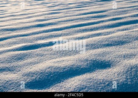 Snowy field waves as winter background during sunset. Texture of snow covered endless field in sunlight Stock Photo