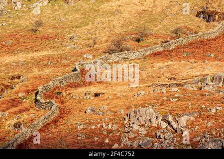 Drystone wall in sunlight, Snowdonia, North Wales Stock Photo