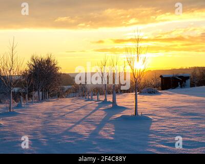 Sunset over a snowy winter landscape. Sun over horizon in winter season. Stock Photo