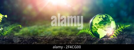 Crystal Earth On Soil In Forest With Ferns And Sunlight - Environment / Earth Day Concept Stock Photo