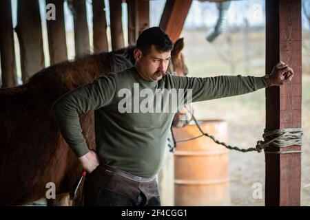 Man is taking a break after putting on shoe on several horses Stock Photo