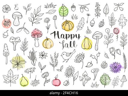 Autumn doodle vector design elements. Hand drawn florals, leaves, mushrooms and pumpkins on a white background Stock Vector