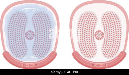 Vector illustration of a device for hydromassage of feet. Vibration bath for feet hydromassage. Cartoon style Stock Vector