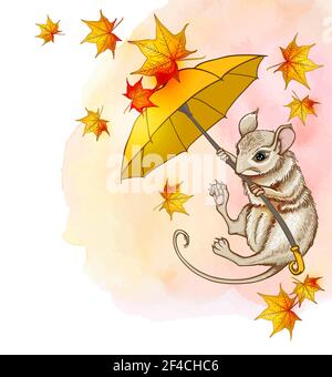 Cute little mouse flying on an umbrella with maple leaves. Autumn vector background with watercolor texture Stock Vector