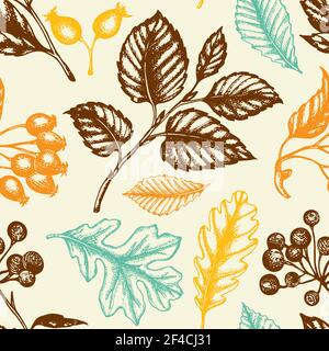 Autumn seamless pattern with berries and falling leaves. Hand drawn seasonal vector background in vintage style. Stock Vector