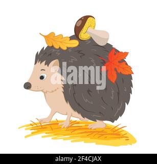 Cute forest hedgehog with autumn leaves and mushroom on a white background. Vector illustration Stock Vector
