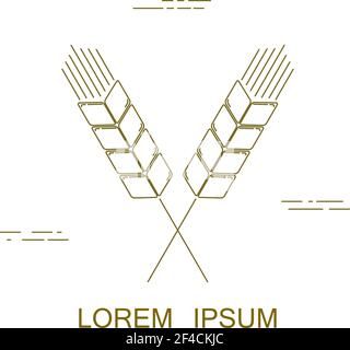 Simple linear icon of spikelets on a white background. Sign of agriculture. Logo for business. Vector illustration Stock Vector