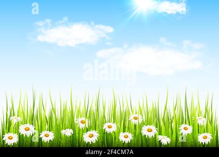 Blue flowers, green grass and clouds on a blue sky background. Spring ...