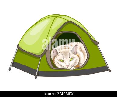 White domestic sleeping cat in the green tent. Hand drawn vector illustration Stock Vector