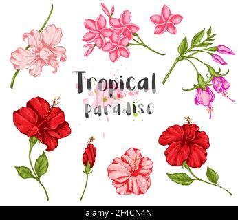 Set of vintage tropical flowers. Hand drawn vector illustration. Stock Vector
