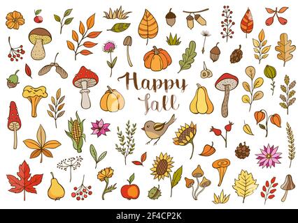 Autumn doodle vector design elements. Hand drawn florals, leaves, mushrooms and pumpkins on a white background Stock Vector