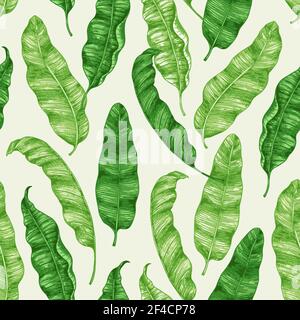 Tropical seamless pattern with green banana leaves. Hand drawn vintage vector background. Stock Vector