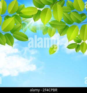 Spring nature background with green leaves, clouds and blue sky. Vector illustration. Stock Vector