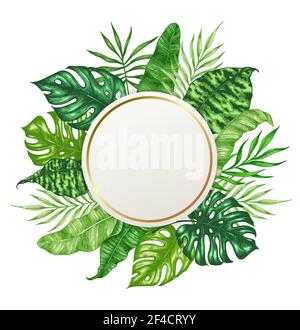 Tropical summer background with green palm leaves and round banner. Hand drawn vector illustration Stock Vector