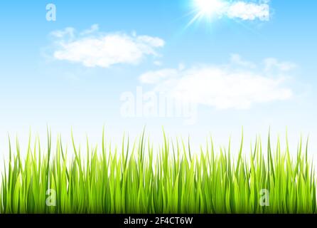 Spring background with fresh green grass and blue sky with clouds. Vector illustration. Stock Vector