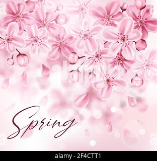 Spring background with pink flowering cherry branch. Sakura blossom. Vector illustration. Stock Vector