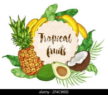 Round paper label with ripe tropical fruits and green leaves on a white background. Vector illustration Stock Vector