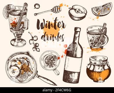 Vintage vector hand drawn mulled wine and ingredients. Traditional Christmas food and drink. Stock Vector