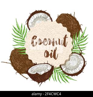 Round paper label with coconuts and green palm leaves on a white background. Vector illustration Stock Vector