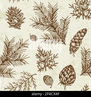 Vintage winter seamless pattern with evergreen plants. Decorative background for Christmas and new year. Hand drawn vector pattern. Stock Vector