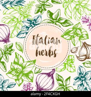 Vintage vector hand drawn background with Italian spices and herbs. Stock Vector
