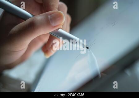 Woman hand view while using graphics tablet stylus for home smart working,digital technology Stock Photo