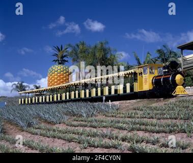 Australia. Queensland. Sunshine Coast. Big pineapple plantation. Tourist train. Stock Photo