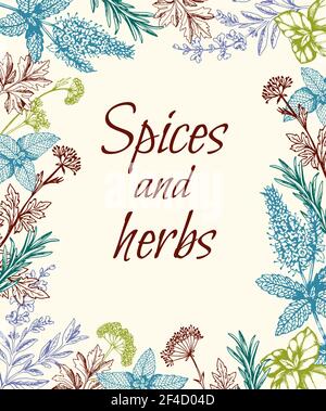 Vintage hand drawn floral background with spices and herbs. Vector illustration Stock Vector