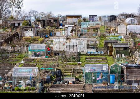 Edinburgh, United Kingdom. 20 March, 2021 Pictured: The Spring Equinox brings in fine weather to Edinburgh. Residents take to their allotments to take advantage of the sun. Credit: Rich Dyson/Alamy Live News Stock Photo