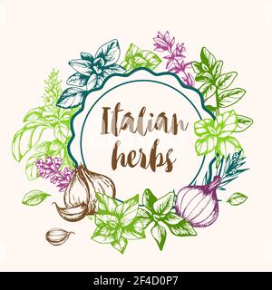 Vintage vector hand drawn background with Italian spices and herbs. Stock Vector
