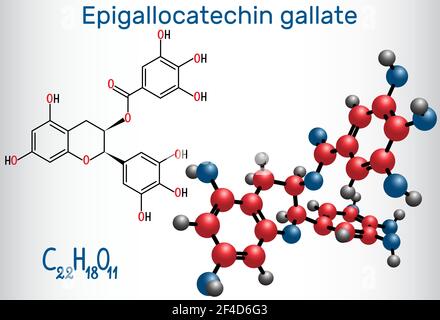 Epigallocatechin gallate (EGCG) green tea polyphenol molecule. Has ...