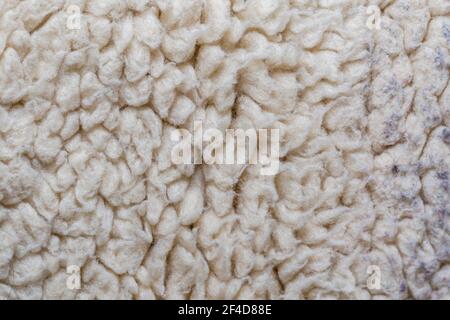 Close Up At White Fur Fabric Texture Background. Stock Photo, Picture and  Royalty Free Image. Image 53471368.